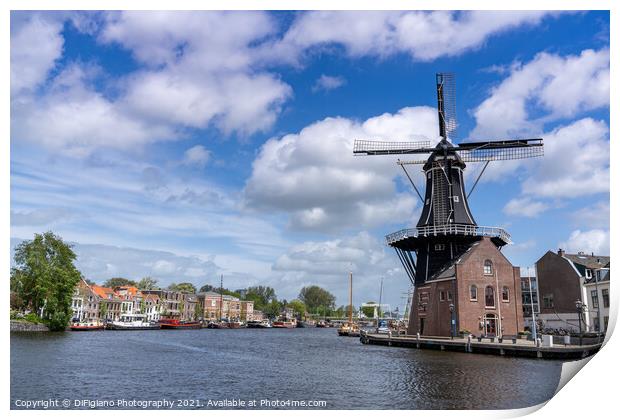 Haarlem Print by DiFigiano Photography