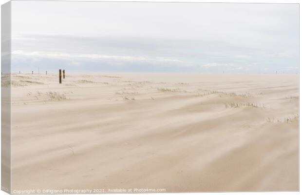Wadden Sea Wind and Beach Canvas Print by DiFigiano Photography