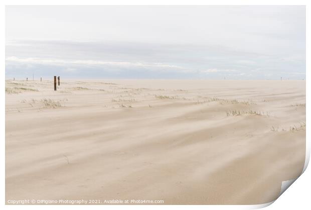 Wadden Sea Wind and Beach Print by DiFigiano Photography
