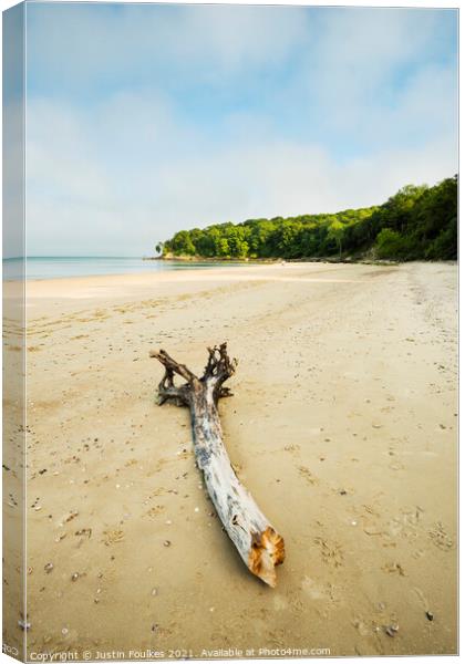 The beach at Priory Bay, Isle of Wight Canvas Print by Justin Foulkes