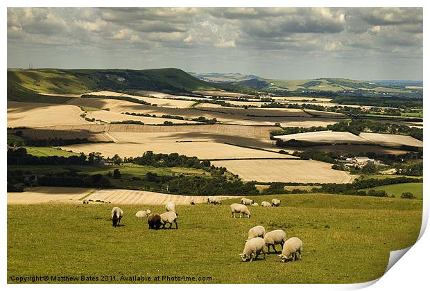 Sussex Countryside Print by Matthew Bates