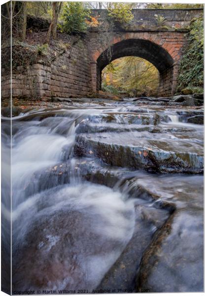 Bridge over May Beck, Sneaton Forest, Nr Whitby Canvas Print by Martin Williams