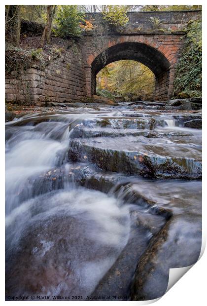 Bridge over May Beck, Sneaton Forest, Nr Whitby Print by Martin Williams