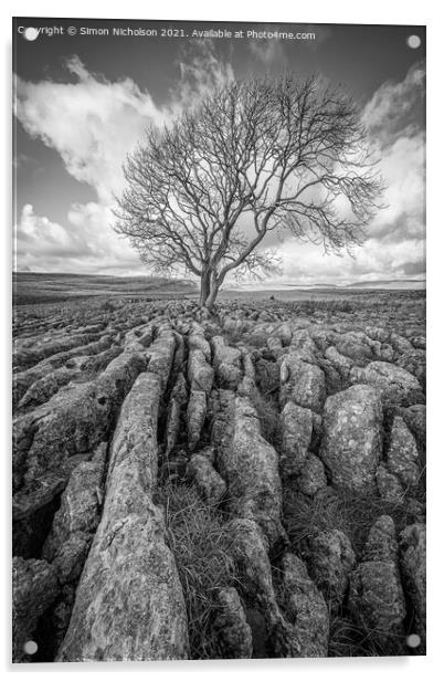 The Lone tree, Malham cove Yorkshire Acrylic by Simon Nicholson