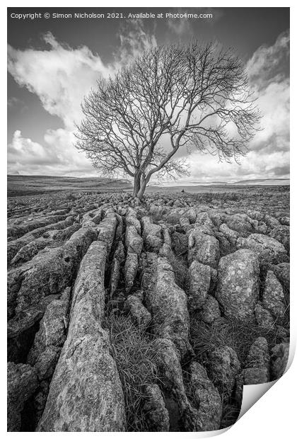 The Lone tree, Malham cove Yorkshire Print by Simon Nicholson