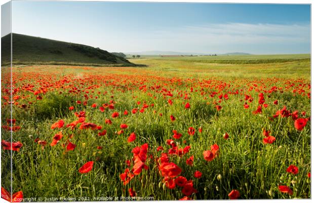 Poppy Field, Isle of Wight Canvas Print by Justin Foulkes