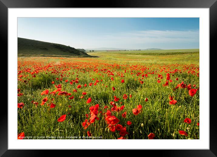 Poppy Field, Isle of Wight Framed Mounted Print by Justin Foulkes