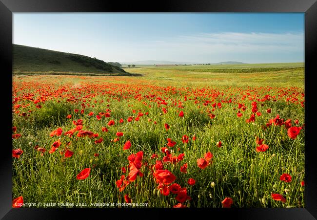 Poppy Field, Isle of Wight Framed Print by Justin Foulkes