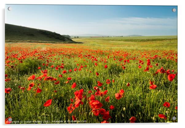 Poppy Field, Isle of Wight Acrylic by Justin Foulkes