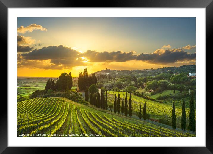Vineyards in Alta Maremma at Sunset Framed Mounted Print by Stefano Orazzini