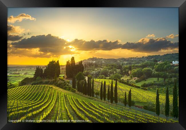 Vineyards in Alta Maremma at Sunset Framed Print by Stefano Orazzini