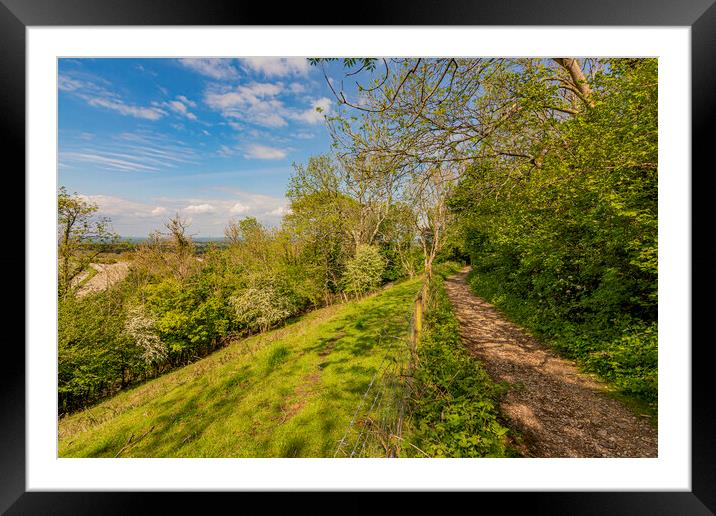 Spring Greens on the South Downs Way Framed Mounted Print by Malcolm McHugh