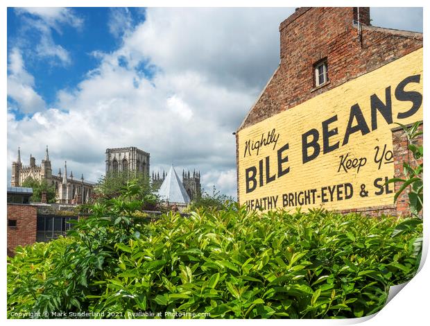 Bile Beans Sign in York Print by Mark Sunderland