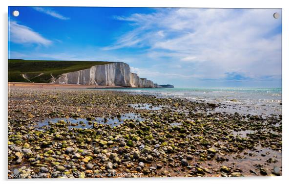 Glorious Coastal Landscape Acrylic by Janet Carmichael