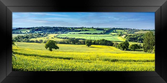 A Rapeseed panorama. Framed Print by Chris North