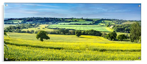 A Rapeseed panorama. Acrylic by Chris North