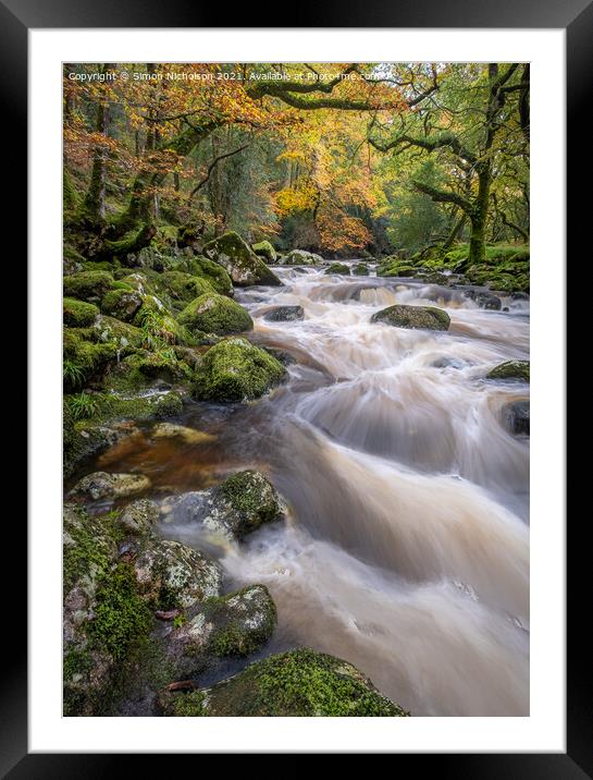 Autumn on the River Plym, Dewerstone woods. Dartmoor.Uk Framed Mounted Print by Simon Nicholson