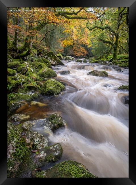 Autumn on the River Plym, Dewerstone woods. Dartmoor.Uk Framed Print by Simon Nicholson