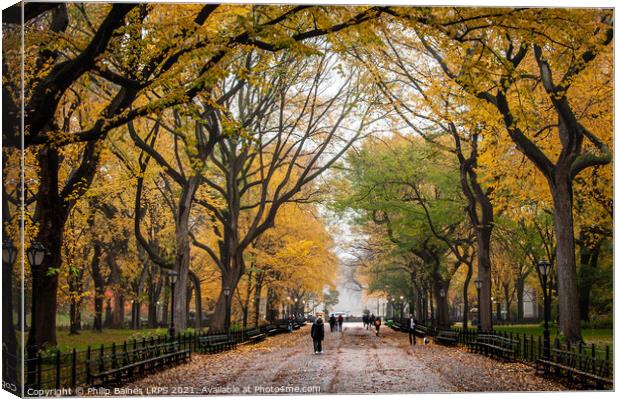 Central Park's Mall and Literary Walk Canvas Print by Philip Baines