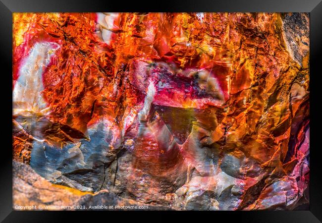 Petrified Wood Rock Abstract National Park Arizona Framed Print by William Perry