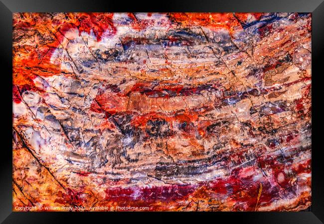 Petrified Wood Rock Abstract National Park Arizona Framed Print by William Perry