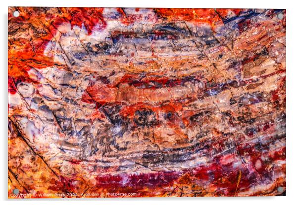 Petrified Wood Rock Abstract National Park Arizona Acrylic by William Perry