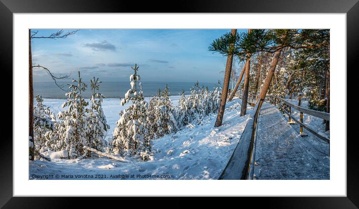 Snowy spruce trees in forest near sea coast Framed Mounted Print by Maria Vonotna
