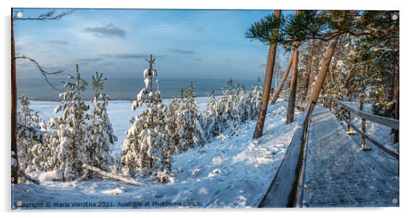 Snowy spruce trees in forest near sea coast Acrylic by Maria Vonotna