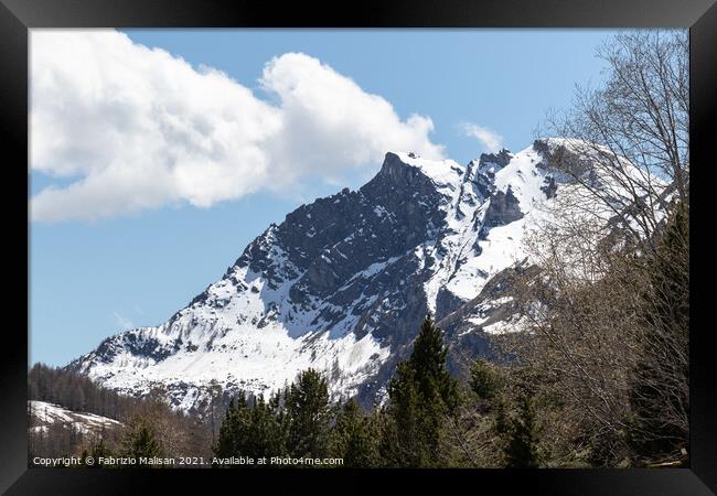 Wind Blowing Snow Cervinia Wildlife Aosta Valley Italy  Framed Print by Fabrizio Malisan