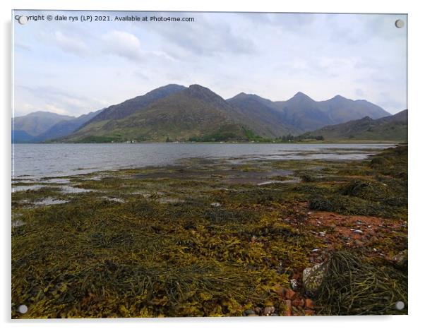 5 sister's-kintail Acrylic by dale rys (LP)