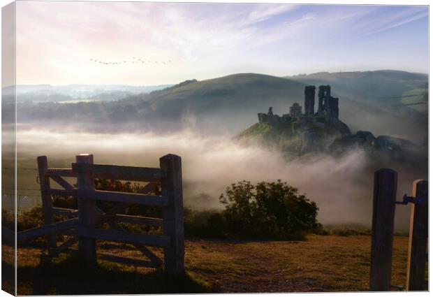 Gateway to Corfe Castle Canvas Print by David Neighbour