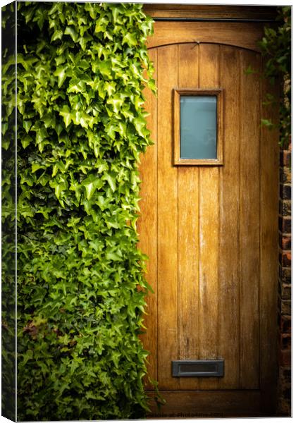 Wooden door half overgrown by ivy Canvas Print by Christina Hemsley