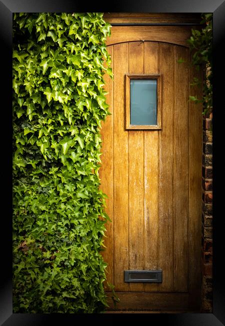 Wooden door half overgrown by ivy Framed Print by Christina Hemsley