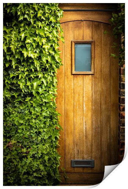 Wooden door half overgrown by ivy Print by Christina Hemsley