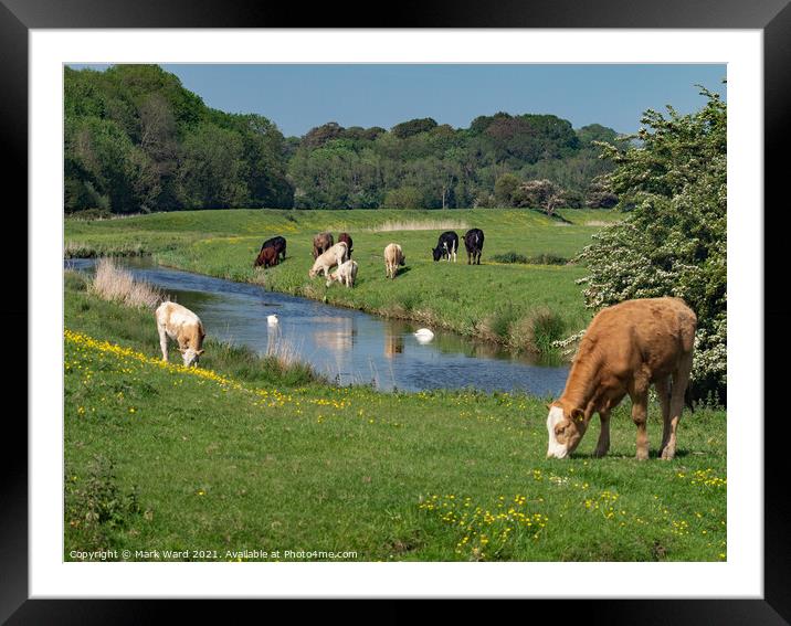A June Day in the Countryside. Framed Mounted Print by Mark Ward