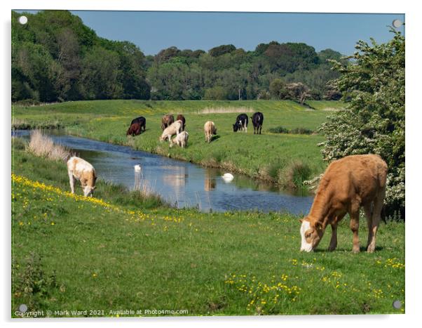 A June Day in the Countryside. Acrylic by Mark Ward