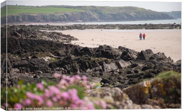 Walkers on Pembrokeshire Beach framed by out of focus sea thrift Canvas Print by Peter Barber