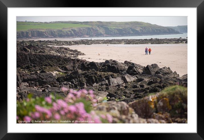 Walkers on Pembrokeshire Beach framed by out of focus sea thrift Framed Mounted Print by Peter Barber