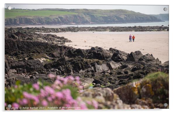 Walkers on Pembrokeshire Beach framed by out of focus sea thrift Acrylic by Peter Barber