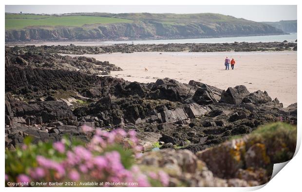 Walkers on Pembrokeshire Beach framed by out of focus sea thrift Print by Peter Barber