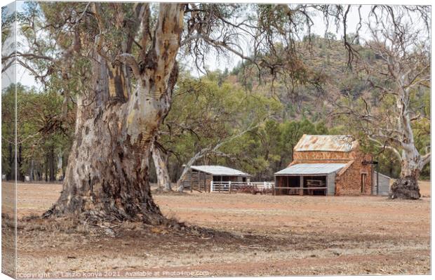 Old Wilpena Station - Wilpena Pound Canvas Print by Laszlo Konya