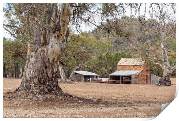 Old Wilpena Station - Wilpena Pound Print by Laszlo Konya