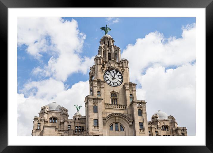 Liver Birds overlooking the Liverpool waterfront Framed Mounted Print by Jason Wells