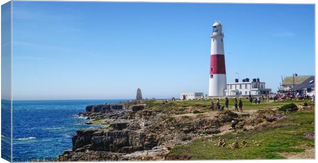 Portland Bill Lighthouse  Canvas Print by Peter F Hunt
