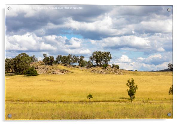 Australian landscape autumn Acrylic by martin berry