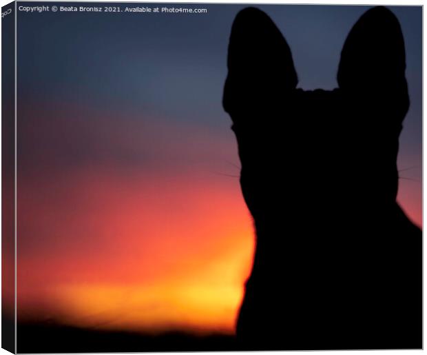 Sunset with a French Bulldog Canvas Print by Beata Bronisz