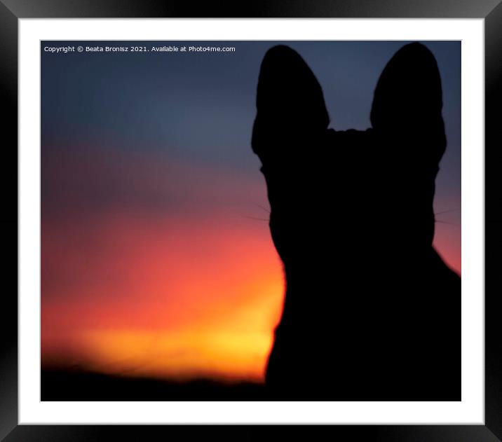 Sunset with a French Bulldog Framed Mounted Print by Beata Bronisz