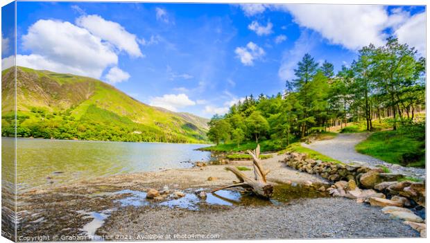 Buttermere Panorama With Driftwood Canvas Print by Graham Prentice