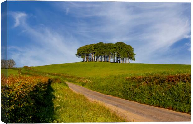 Nearly Home Trees Coming Home Trees Canvas Print by Oxon Images