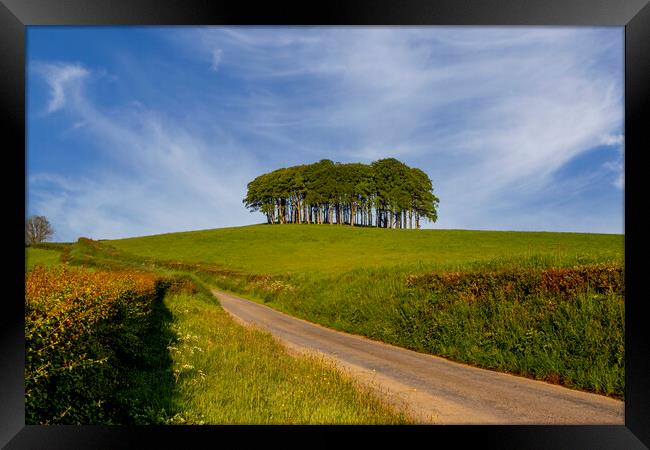 Nearly Home Trees Coming Home Trees Framed Print by Oxon Images